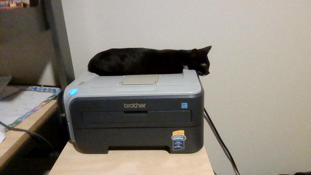 Copy-Cat
