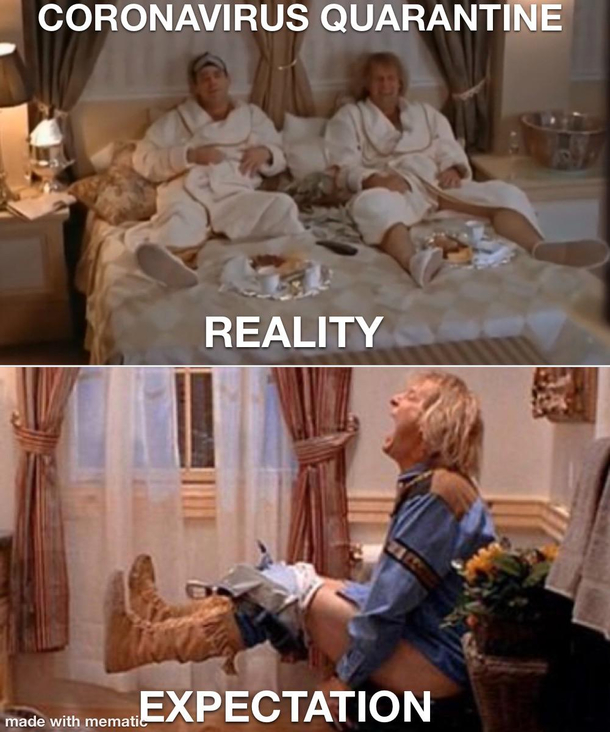 Coronavirus Quarantine - Reality vs Expectation