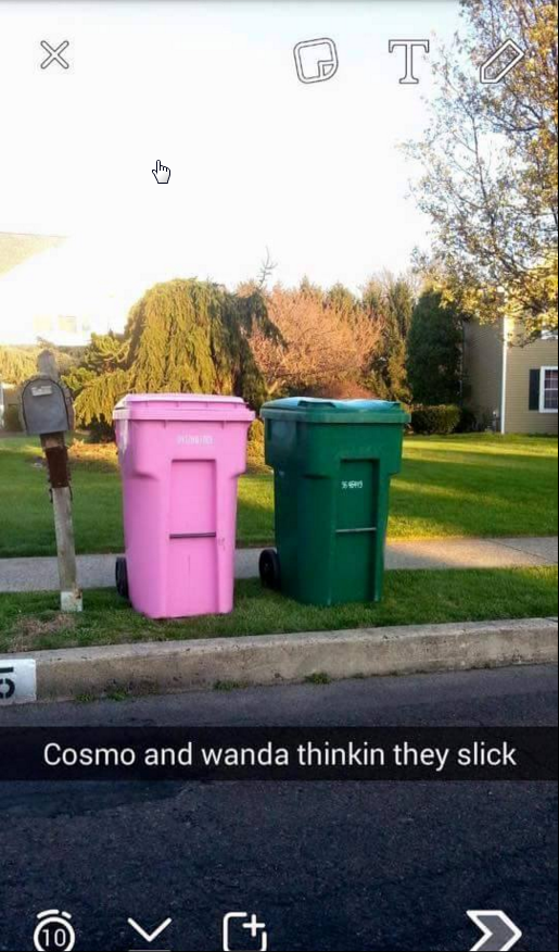 Cosmo and wanda