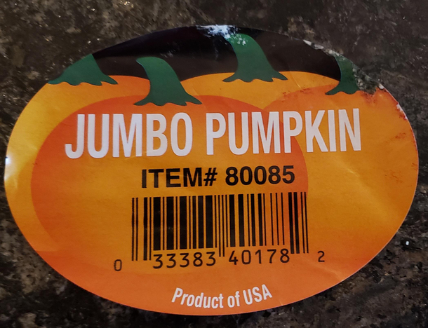 Costcos item  for Jumbo Pumpkins is the numeric equivalent of BOOBS