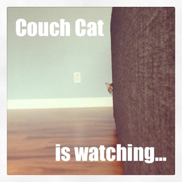 Couch Cat Is Watching