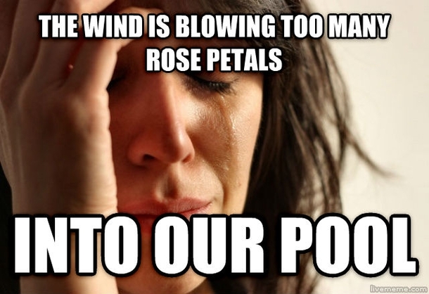 Could not believe it when I said it