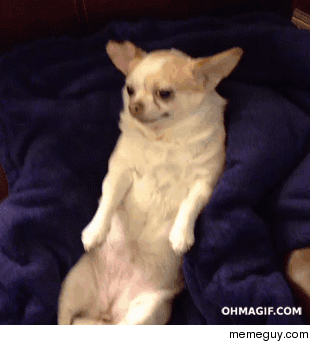 Could someone please make this a downvote gif