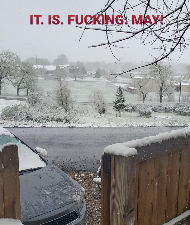 Could someone remind Mother Nature that it is almost SUMMER