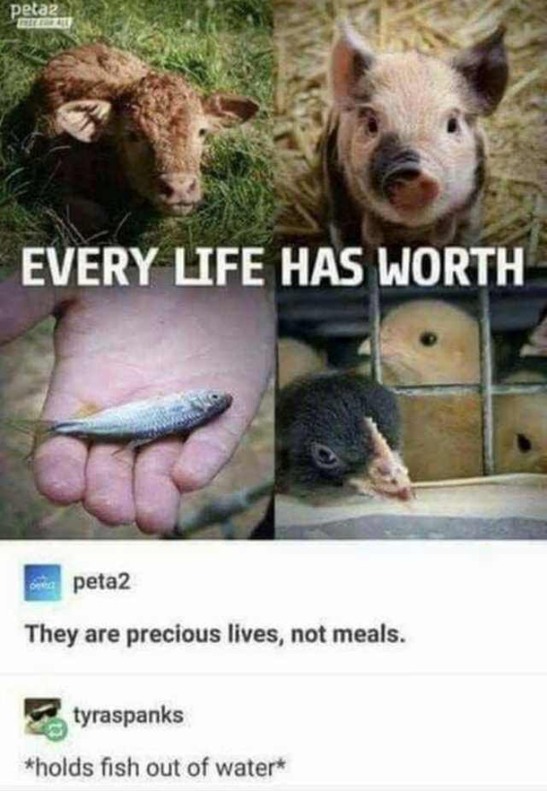 Couldnt agree more I still think the fish should live though