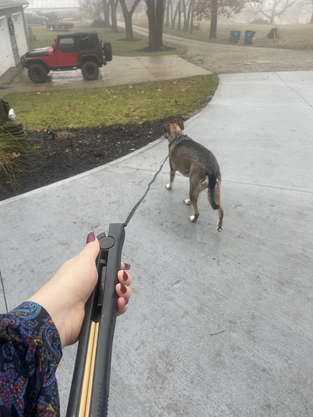 Couldnt find the leash to walk my sisters dog sooo I had to improvise