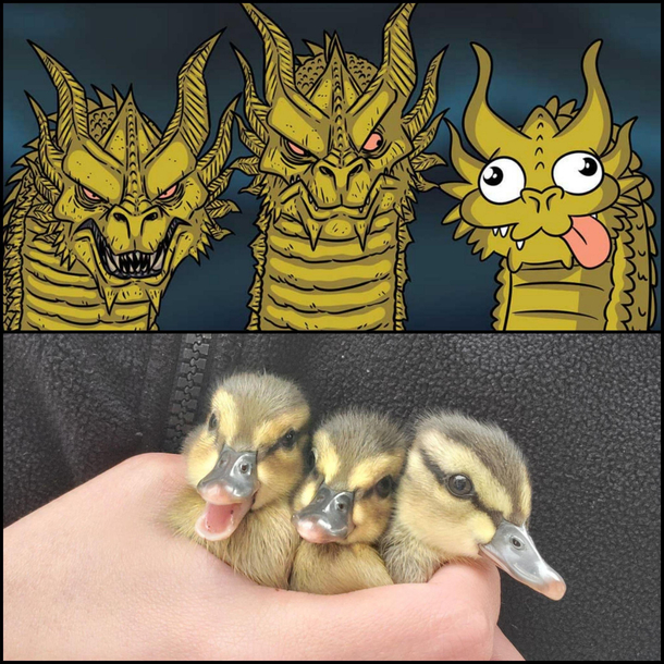 Couldnt help but see these related