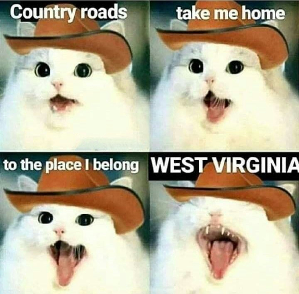 COUNTRY ROAAAADDDDSSS