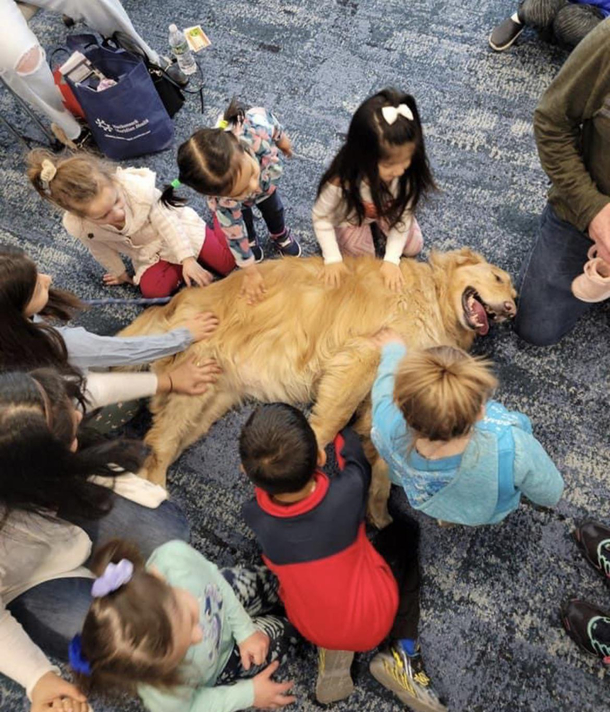 Courageous hero of childrens book Cosmo Faces the Forest of Fear taken down by a gaggle of overzealous toddlers