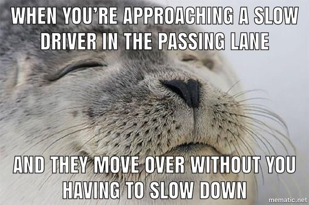 Courteous drivers make the world better