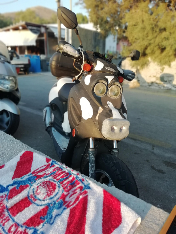 Cow motorbike