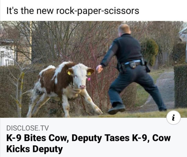Cow pupper tazers