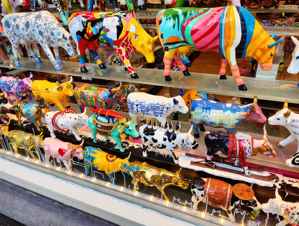 Cow shop in Amsterdam