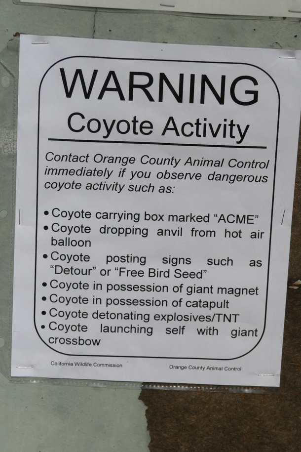 Coyote Warning