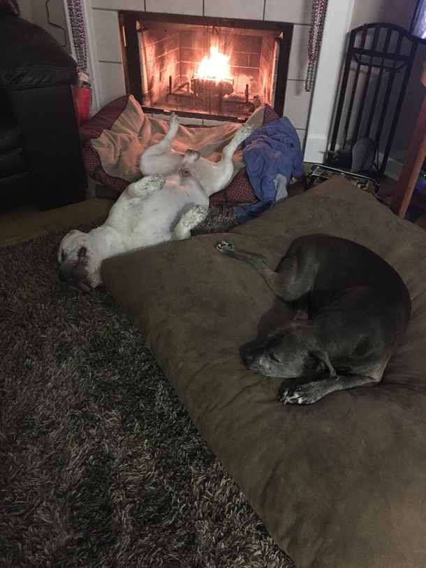 Cozy nuts