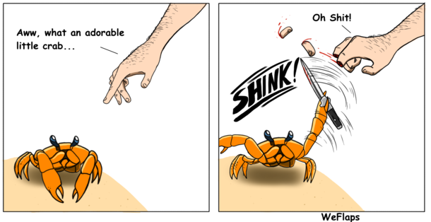 Crabs suck all around 