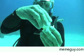 Cracking an egg underwater