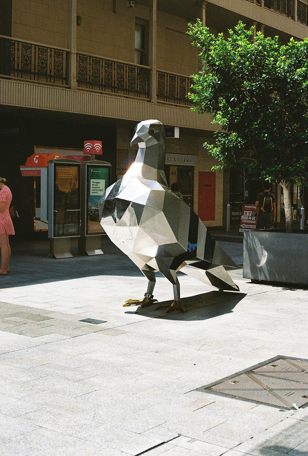 Crappy art installations you say Adelaide has an AU big metal pigeon It goes with our bronze pigs and the Malls Balls