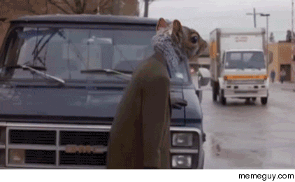 Created this GIF because lately every squirrel in my neighborhood has had a death wish