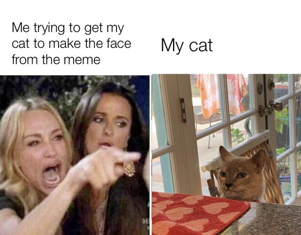 Credit to uRumpusRex