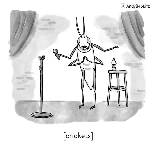 Cricket standup