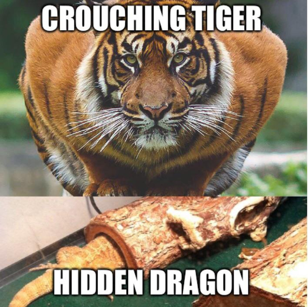 Crouching Tiger Hidden Dragon