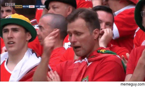 Crying Welsh fan turns tears to cheers