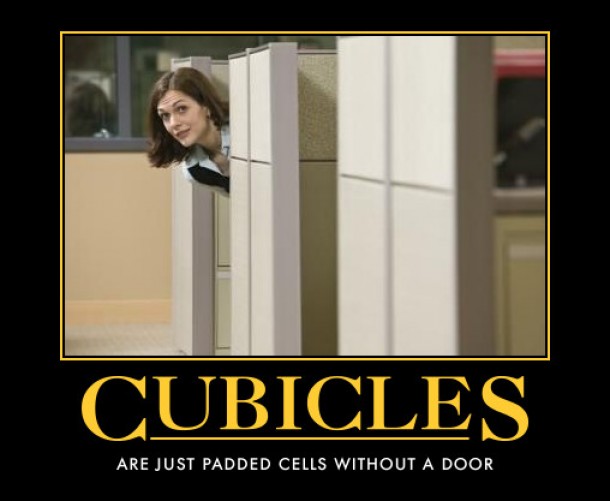 Cubicles 