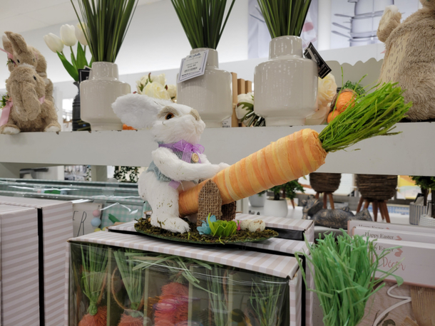 Curious critter found at World Market