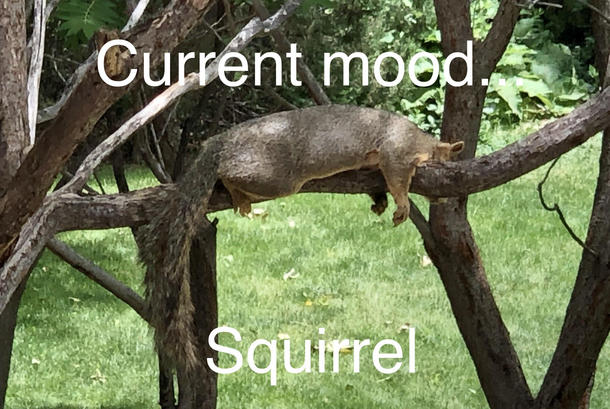 Current mood
