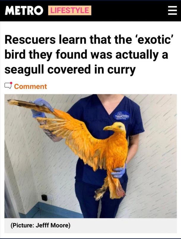 Curry Anyone 