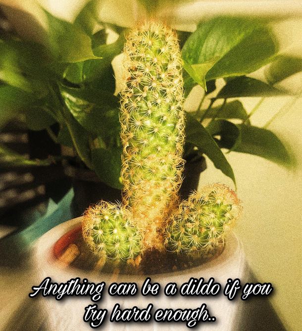 cursed dildo