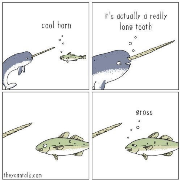 Cursed fish