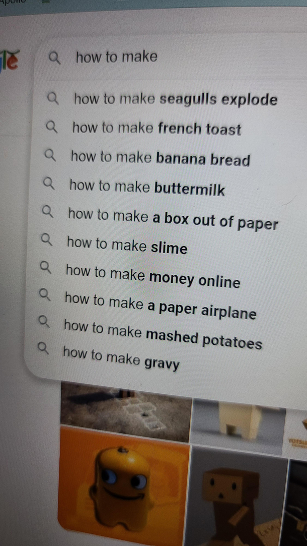 Custom search results after looking up pelicans and seagulls
