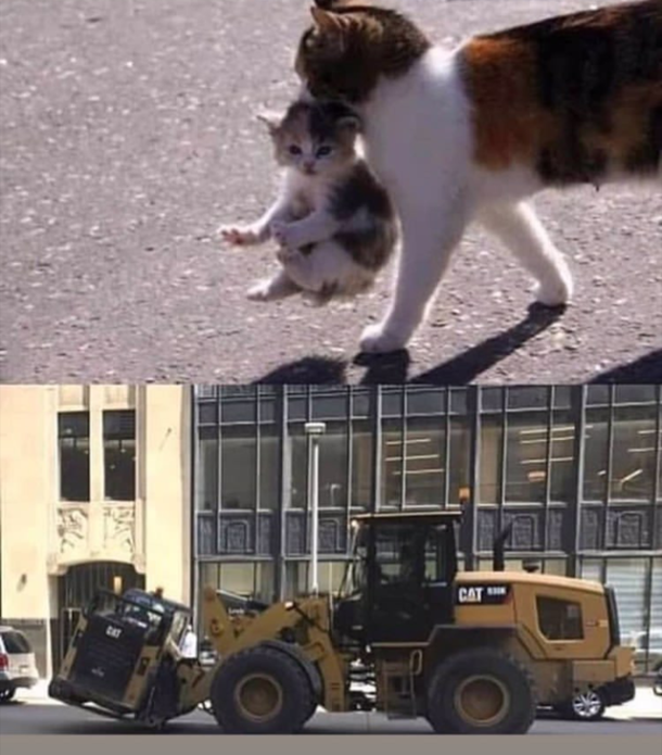 Cute and e