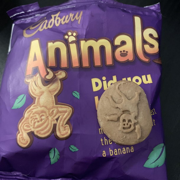 Cute monkey biscuit vs creepy fossilised ghoul