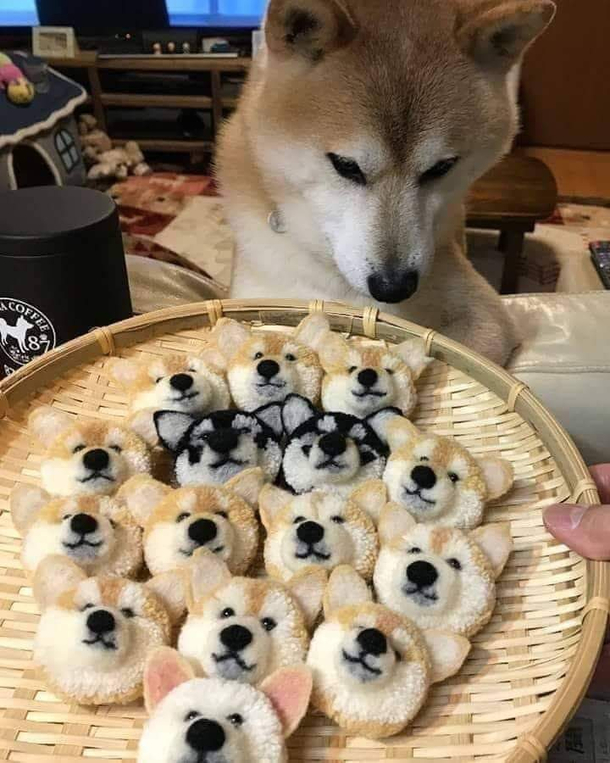 cute puppy cake