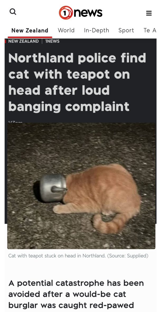 Cutting edge journalism in New Zealand