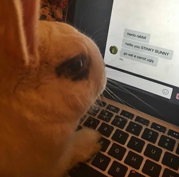 cyber-bullying is not a joke 