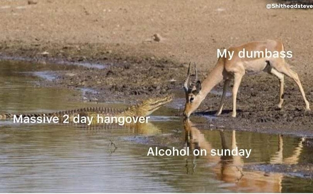 Cycle of weekend