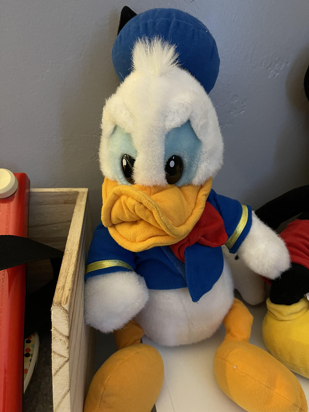 D Duck after spending  years in storage