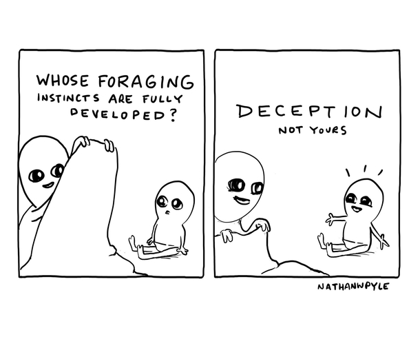 d e c e p t i o n