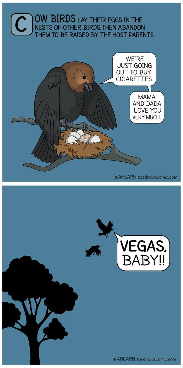 D- parenting 
