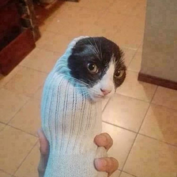 Da sock