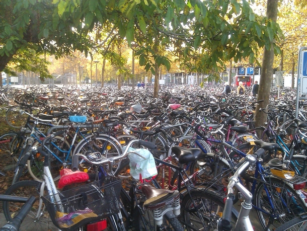 Dad asked me why I need a bike in my new uni in Germany Just sent him this photo