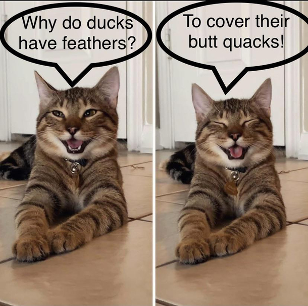 Dad joke
