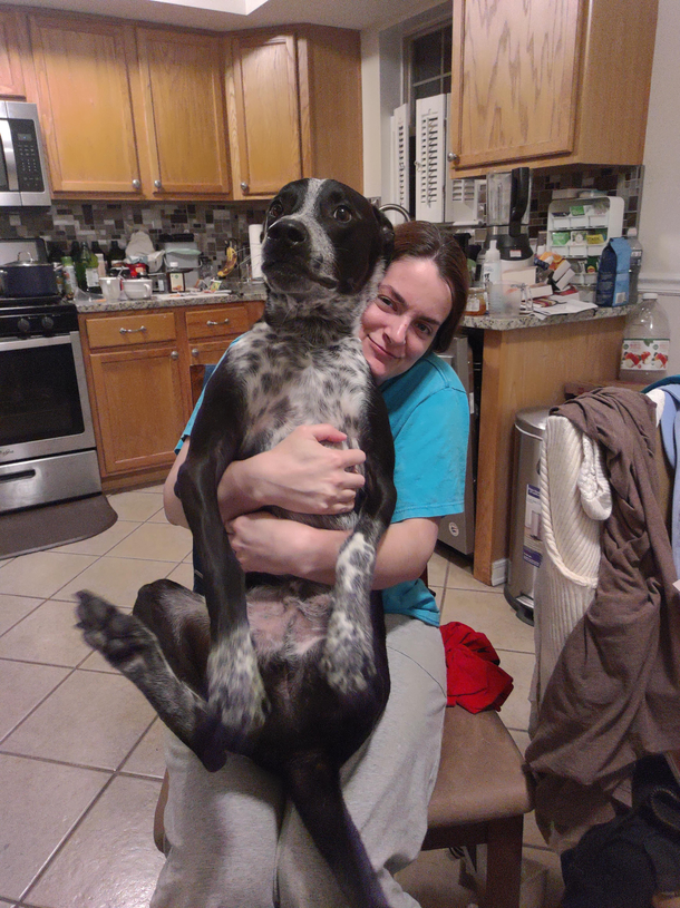 Dad picks him up like this mom never does