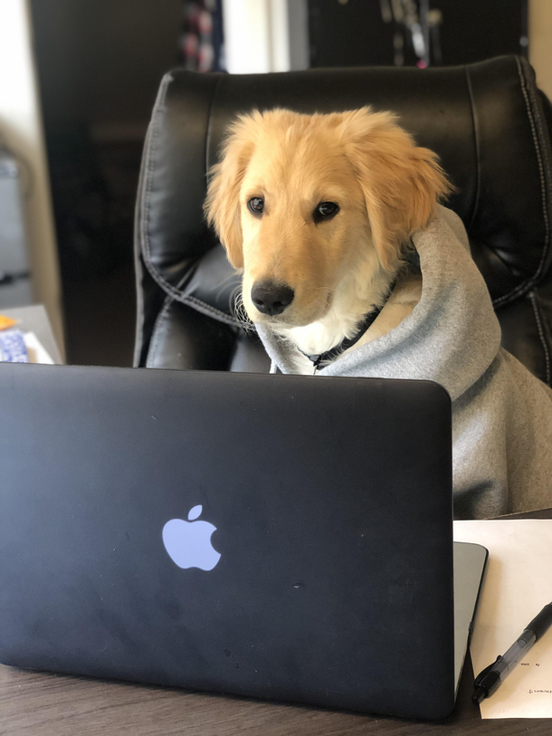Dad stop taking pictures of me Im working  Happy Monday everyone