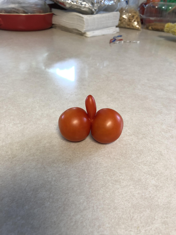 Dad was so proud of this tomato he pulled from his garden