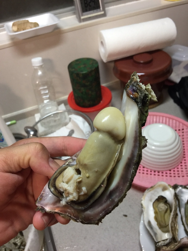 Daddy I dont want to eat my oyster